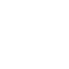 VOGE Logo quer weiss225 2
