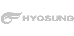 logo Hyosung quad 124height grau
