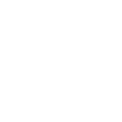 logo Hyosung quad 250